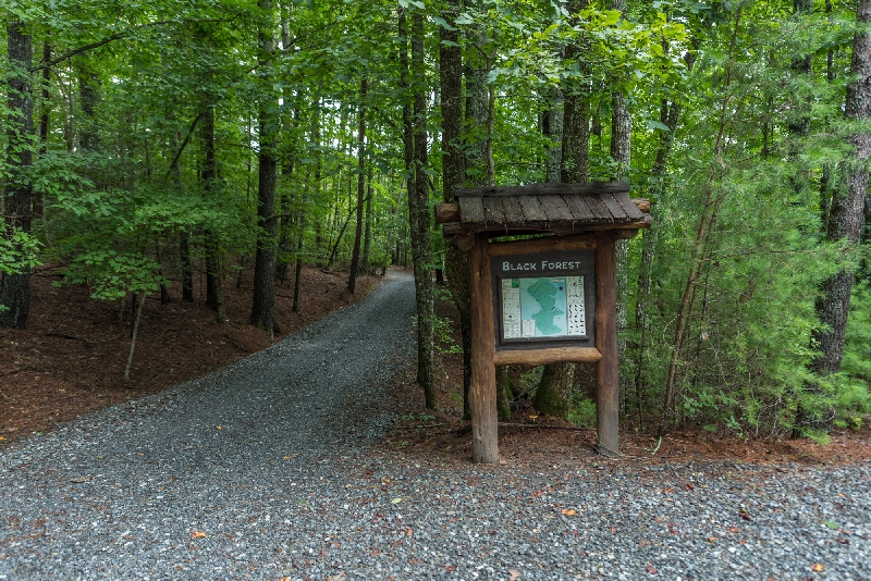 Black Forest Real Estate Lake James NC GreyBeard Realty